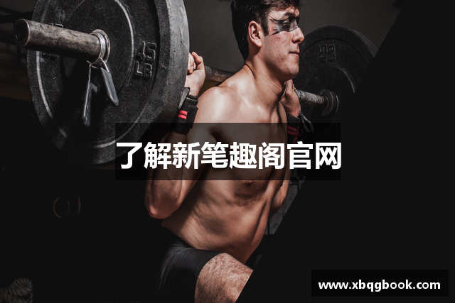 了解新笔趣阁官网